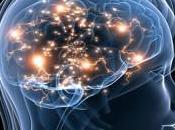 Neurociencia Cerebro Potencialidad