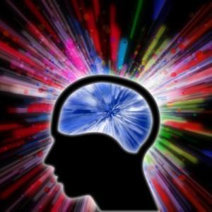 Neurociencia : El Cerebro y su Potencialidad