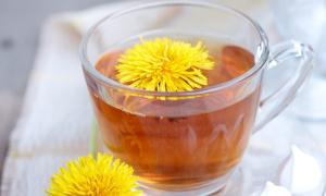 El Maravilloso Diente de León como Planta Medicinal