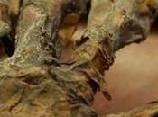 Encuentran mano vieja ático monedas mapa tesoro