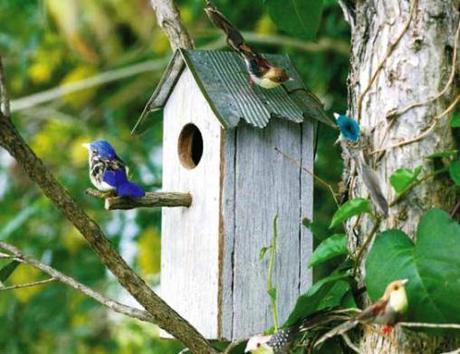 Recomendados Eco del mes de Abril casa_nido