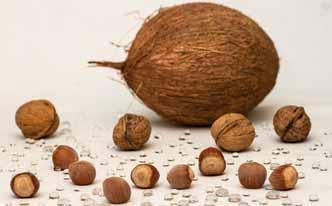 Agua de coco para perder peso