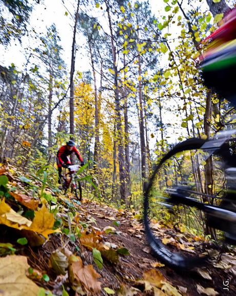 tumblr_mclhxpGFsh1rs3845o1_500