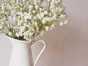 finde frugal: blanco