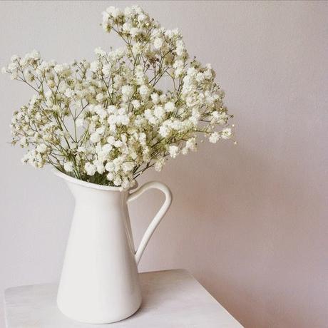 finde frugal: en blanco