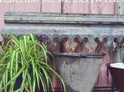 texturas Maschwitz
