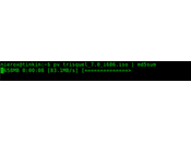 Usar para proceso comandos como md5sum terminal