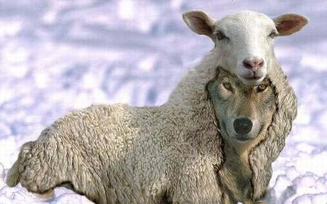 La sutil diferencia entre responsabilidad y cinismo