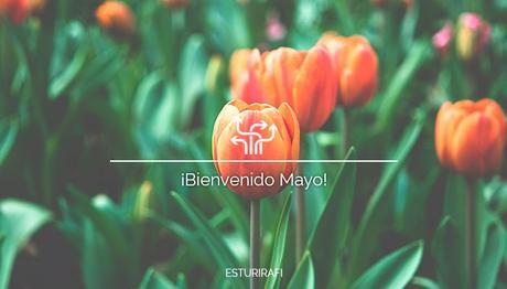 Bienvenido mayo tulipanes