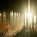 Tras la oscuridad hay luz