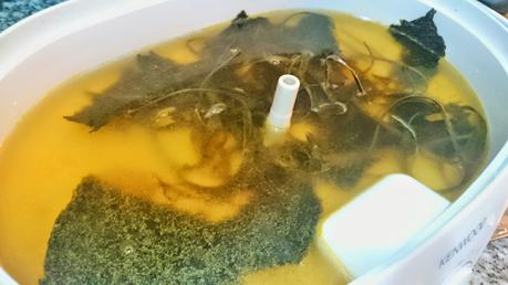 Delicias de mar (mejillones veganos) en escabeche