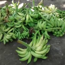 Asopao de gallina criolla