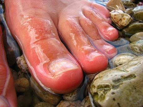 uñas de los pies largas uñas de los pies largas