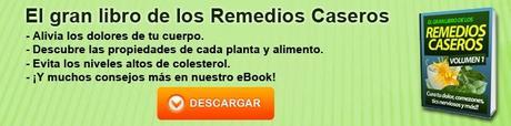 Remedios caseros para la fiebre Remedios caseros para la fiebre