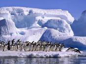 Como seria tierra todo hielo glaciares derritiera ?... vídeo.
