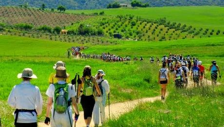 101 Kilómetros de Ronda. Lo más Importante