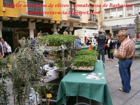 FIESTA DEL PLANTERO DEL TOMATE ROSA DE BARBASTRO