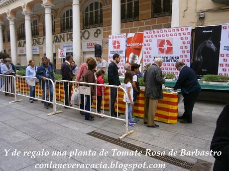 FIESTA DEL PLANTERO DEL TOMATE ROSA DE BARBASTRO