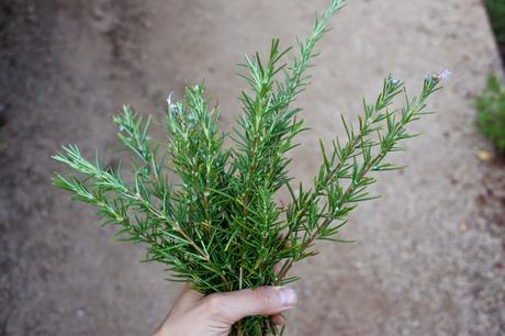 ¿Cómo empezar a comer más saludable? coom-8