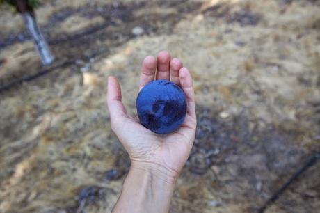 ¿Cómo empezar a comer más saludable? coom-6