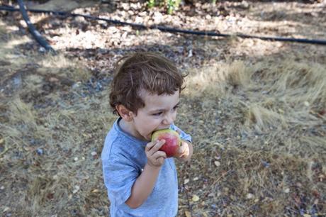 ¿Cómo empezar a comer más saludable? cooms-4