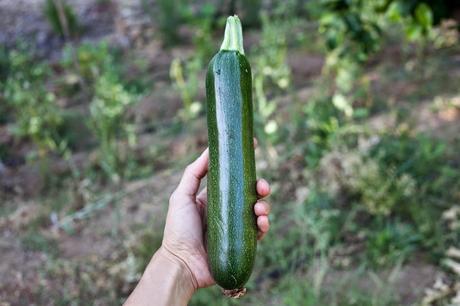 ¿Cómo empezar a comer más saludable? coom-10