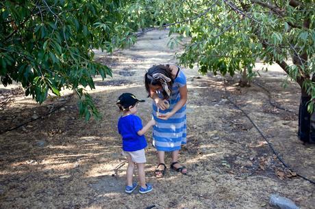 ¿Cómo empezar a comer más saludable? coom-9