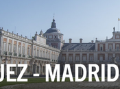 Wings Life. carrera diferente #wingsforlifeworldrun