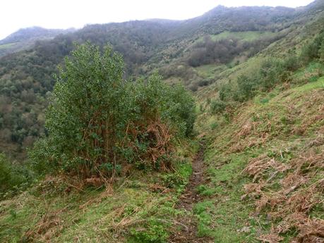 El Otero-L' Escurero Brañavalera-La Pena L.lago