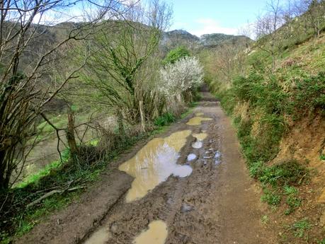 El Otero-L' Escurero Brañavalera-La Pena L.lago