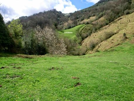 El Otero-L' Escurero Brañavalera-La Pena L.lago