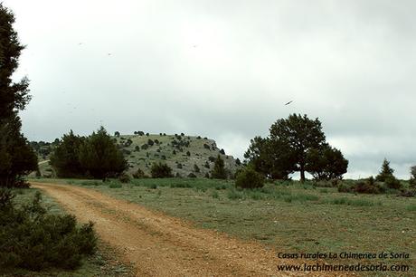 camino rural hacia el portillo parque natural canon del rio lobos