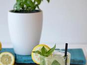 Mojito albahaca limón