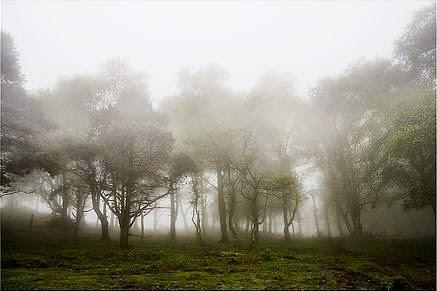 «El hombre del esmoquin» - Primera parte «El hombre del esmoquin» - Primera parte