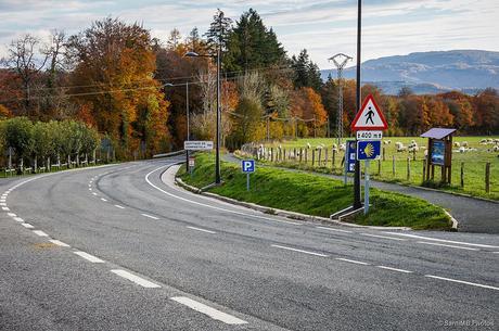 Camino de Santiago