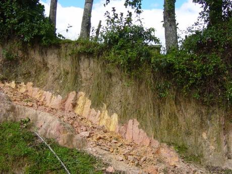 El jardín sostenible (III): decálogo del suelo.