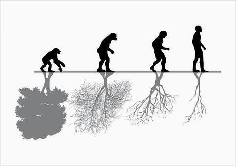 La evolución del hombre y la tecnología vs el planeta