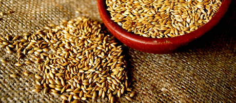 Leche de Alpiste...lo último para adelgazar.