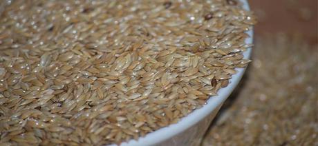 Leche de Alpiste...lo último para adelgazar.