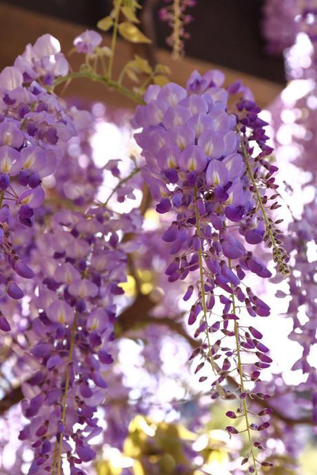 INSPIRATIONAL MONDAY #20 INSPIRATIONAL MONDAY #20