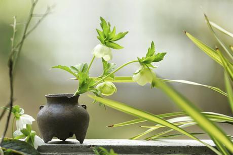 INSPIRATIONAL MONDAY #20 INSPIRATIONAL MONDAY #20