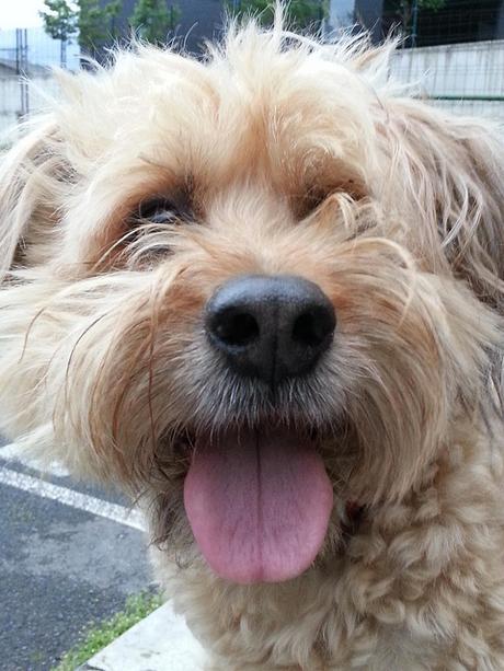 Androidografia Barakaldo 1735