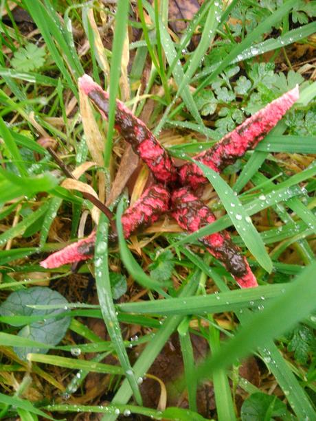 senda del Escañorio.