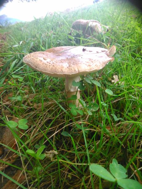 senda del Escañorio.