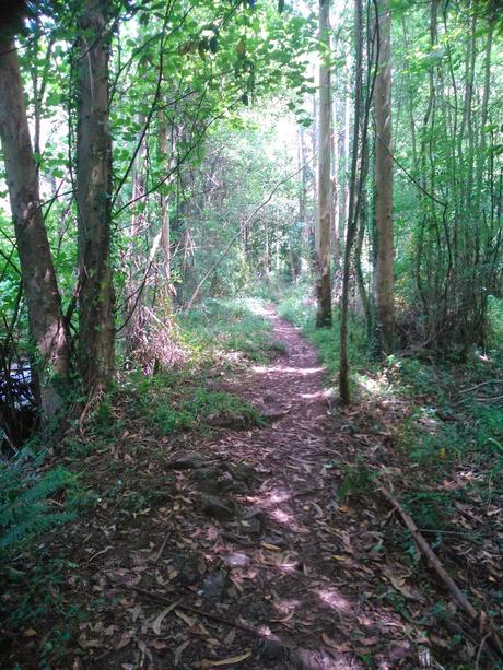 senda del Escañorio.