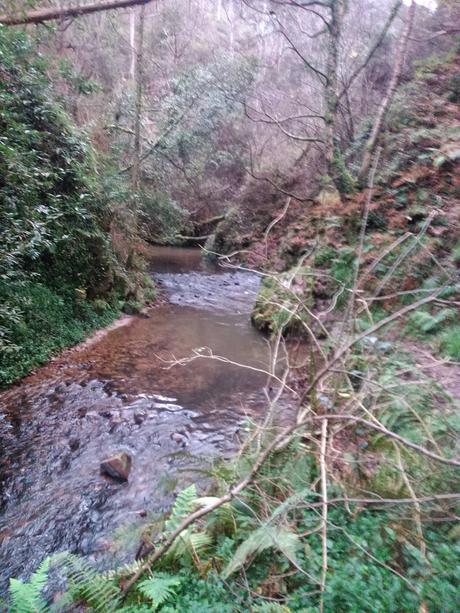 senda del Escañorio.