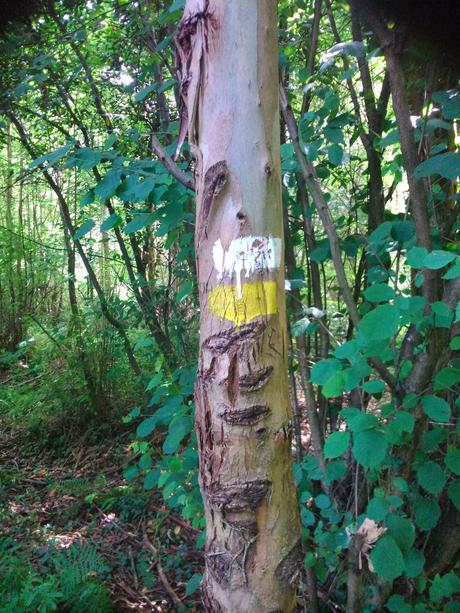 senda del Escañorio.