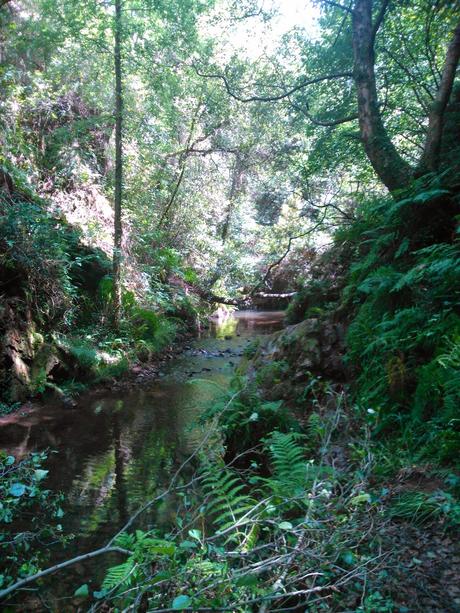 senda del Escañorio.