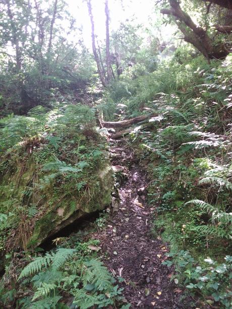 senda del Escañorio.