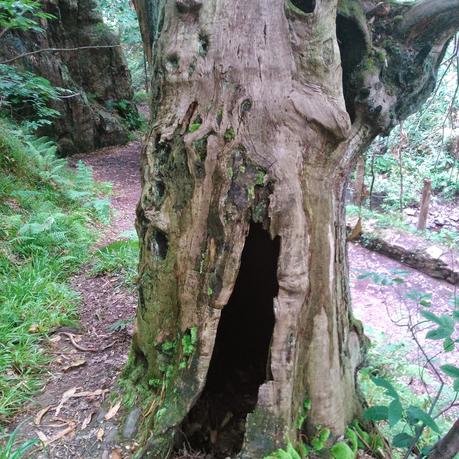 senda del Escañorio.